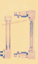 耐壓數顯小型管式液位計